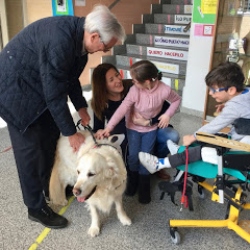 Proyecto de educación asistida con perros – CEE “Jean Piaget” (Zaragoza)